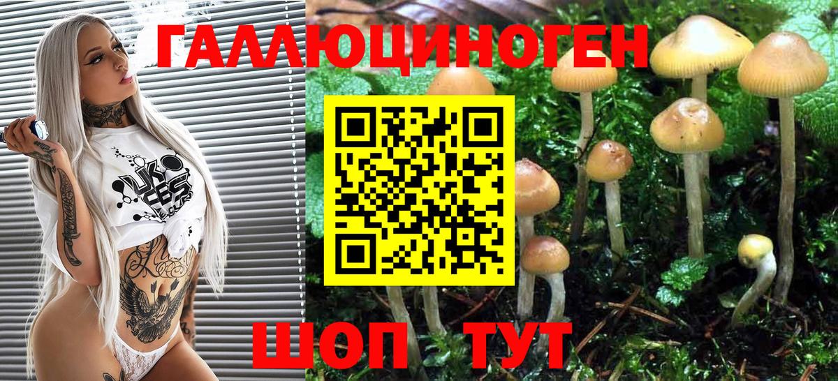 Псилоцибиновые грибы GOLDEN TEACHER Клинцы